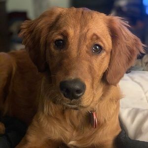 Meet your Posher, Wendy